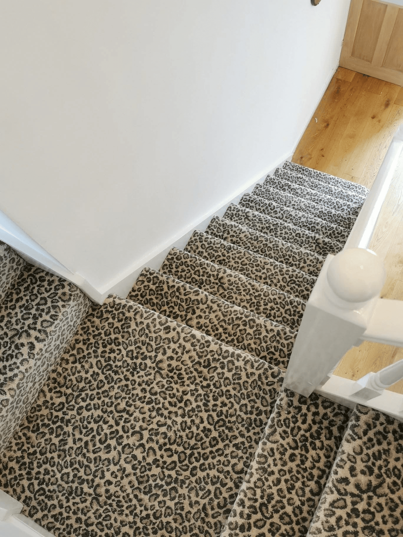 Bold leopard print carpet fitted on staircase viewed from above